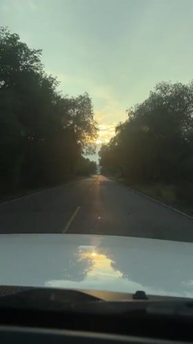 Driver records sunset journey on tree-lined road in Mexico