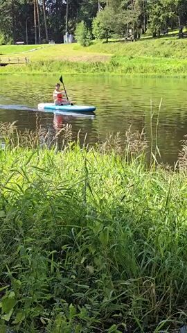 A person in a red life vest and white shorts is paddleboarding on a calm body of water. They are using a black paddle to propel themselves forward on a blue and white paddleboard. The water is reflecting the green trees and blue sky. In the foreground, tall green grass and reeds are visible, partially obscuring the view of the water and the paddleboarder. In the background, a gently sloping green hill is covered with trees. The overall scene depicts a serene outdoor activity on a sunny day.