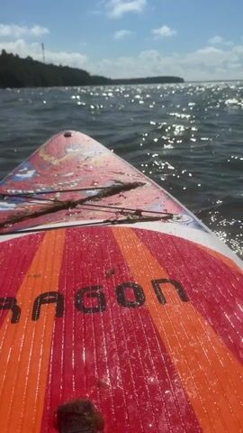 The video begins with a close-up shot of the front of a red and orange paddleboard, with some seaweed clinging to its surface. The paddleboard is on the water, and the camera perspective suggests it is moving forward. The water is rippling, and sunlight is reflecting off its surface. In the background, a tree-lined shore is visible under a bright blue sky with scattered white clouds. The video continues with the camera perspective from the paddleboard, moving smoothly through the water. The shot pans slightly to show more of the sky and the shoreline. The paddleboard has the word "DRAGON" printed on it in black letters. There are no people visible in the video. The environment appears to be a calm, sunny day on a lake or bay.