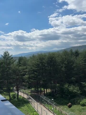A drone perspective video captures a serene mountain landscape under a partly cloudy sky. The foreground features a lush green meadow with a fence enclosing an area where a brown bear is seen resting. Beyond the meadow, dense pine forests stretch across rolling hills and mountains, disappearing into the hazy distance. The camera slowly pans and zooms, revealing more of the mountainous terrain and the vast expanse of the forest. The overall atmosphere is peaceful and untouched by human activity, except for the fence and a path visible in the lower left of the frame.