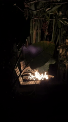 Nighttime villa scenes captured in Mengwi, Indonesia resort property