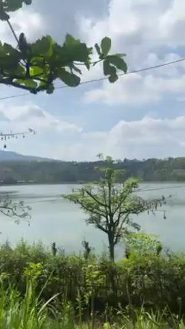 The video depicts a view from a moving vehicle, driving along a shoreline. The body of water is visible through the trees. A couple of structures resembling elevated huts are visible on the shoreline. The weather appears to be partly cloudy.