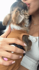 Small dog spotted with owner in car, Burgas