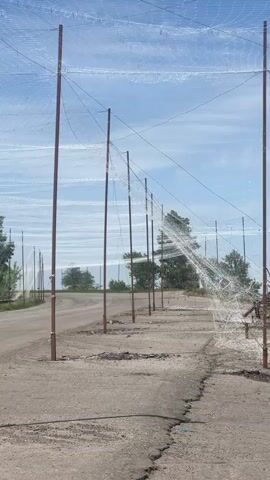The video shows a long row of tall, thin, copper-colored metal poles erected along a cracked asphalt road. A loose, white netting is suspended high between the poles, stretching across the road and into the adjacent grassy areas.  The net is not taut, and large sections hang down limply.  Beyond the netting, there are patches of green grass, trees, and shrubs under a blue sky with scattered clouds.  A few items like a discarded tire and small piles of debris are visible at the bases of some poles. The camera pans slightly to the right, showing more of the netting structure and the surrounding vegetation.