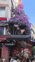 Kadıköy streets alive with murals, graffiti, and bougainvillea