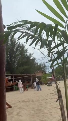A view of a sandy beach is shown from behind a palm tree. Several people are walking and sitting on the beach in the background, and there are some small buildings and trees in the distance. The sky is overcast.