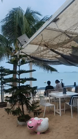 Casual beachside moments captured in Baan Mae Nam, Thailand