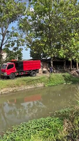 A red dump truck is parked on the side of a dirt road next to a body of water. A person wearing dark clothing is standing near the back of the truck, holding a shovel. There are trees and a building in the background, and some vegetation is growing along the edge of the water. A banner with Indonesian text is visible in the upper right corner of the frame.