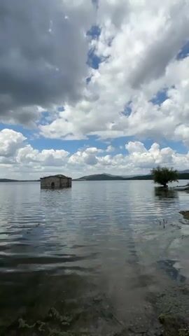 This is a vertical video of a partially submerged stone building in a large body of water. The building appears to be an old church or chapel, with visible windows and arched doorways, though much of it is underwater. The water is rippling, suggesting a gentle breeze.

The scene is set on a lake or reservoir, with a distant, tree-covered hill forming the horizon. The sky is a dynamic mix of bright blue patches and dramatic, fluffy white and gray clouds, indicating fair weather with some cloud cover. A single, mature tree stands on the right bank of the water, its reflection visible in the calm water.

The time of day appears to be midday or early afternoon, given the brightness of the sky. The overall mood is serene and slightly melancholic, evoking a sense of history and the power of nature to reclaim man-made structures. There is no visible text in the media. The location is identified as Panicherevo, Bulgaria.
