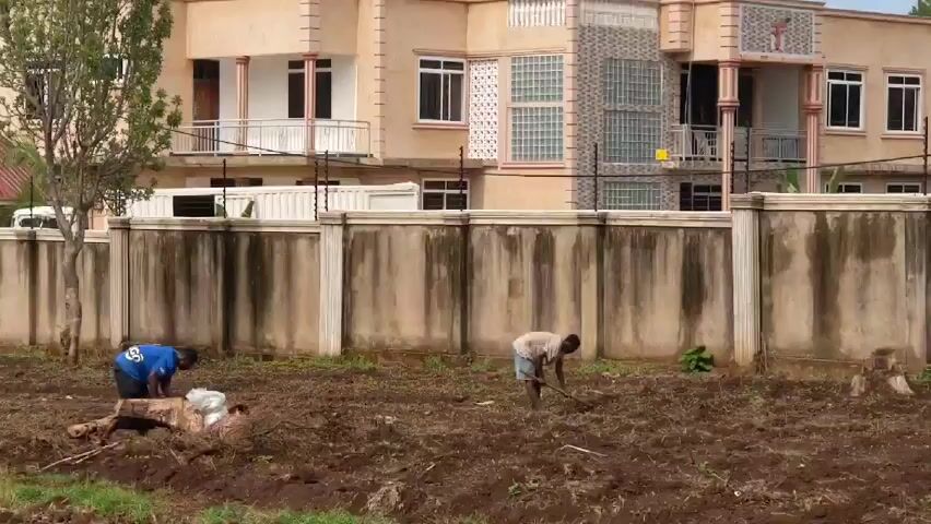 Two individuals are working in a field in front of a beige two-story house enclosed by a concrete wall topped with wire. One individual, wearing a blue shirt, is crouched near a pile of white bags and a tree stump. The other individual, wearing a light-colored shirt and shorts, is using a hoe to till the soil. The field is brown with signs of recent tilling. The house is built in a contemporary style with a balcony, multiple windows, and a decorative cross on the upper level. A white container or trailer is visible behind the wall. The environment appears to be a residential area with a blend of rural and suburban elements.