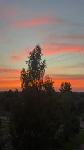 A vertical video captures a vibrant sunset over a landscape dominated by trees and a distant horizon. The sky is a gradient of colors, transitioning from a pale blue at the top to a fiery orange and pink near the horizon, with thin, wispy clouds streaked across it. In the foreground, a tall, dark silhouette of a tree with multiple branches stands out against the colorful sky. Below the tree, a dense collection of dark green trees forms a treeline that stretches across the frame. The lower portion of the video reveals glimpses of what appears to be a suburban or rural area, with hints of rooftops, streetlights, and possibly some grass or pavement. A power line stretches horizontally across the upper part of the scene, bisecting the sky and partially obscuring the tree. The overall impression is one of natural beauty and tranquility at the end of the day.