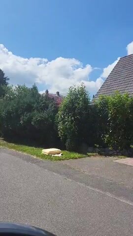 The video appears to be taken from inside a vehicle, showing a perspective of driving along a paved road bordered by green trees and hedges on a sunny day with a blue sky and scattered clouds. In the first frame, a dense, dark green evergreen hedge lines the right side of the road. As the vehicle moves forward, a brick building with a dark roof comes into view on the right, partially obscured by a large, rounded green bush. Further along, a tall, neatly trimmed green hedge continues along the right side of the road. Towards the end of the clip, another brick building with a dark roof is visible behind a hedge, with a stone pillar at the entrance of a driveway. The road surface is grey asphalt with some grass growing along the edges. The overall impression is a scenic drive through a residential or rural area with well-maintained landscaping.