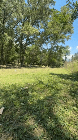 Arkit, Kyrgyzstan