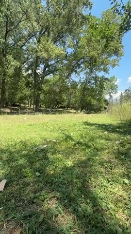 The video captures an outdoor scene with a focus on a grassy area shaded by large trees. The sunlight filters through the leaves, creating dappled patterns on the ground. In the foreground, there is dense green grass with some scattered patches of dry leaves and debris. A few pieces of white paper or plastic are visible on the grass. Further back, a line of tall trees creates a natural boundary, with more vegetation and foliage visible in the distance. The overall impression is one of a natural, somewhat unkempt outdoor space on a sunny day.