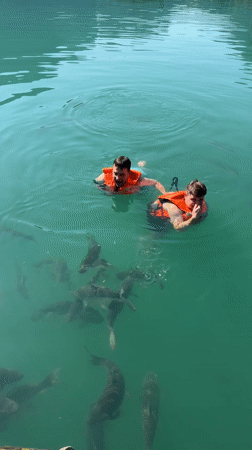 Tourists feed fish, swim at floating resort in Thailand