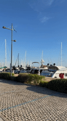 Clear afternoon at Salerno marina with moored sailboats and yachts