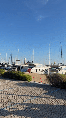 Clear afternoon at Salerno marina with moored sailboats and yachts