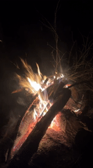 Nighttime campfire gathering documented in rural Belarus village