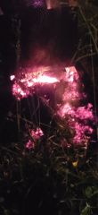 Nighttime bonfire burns outdoors with bright flames and sparks