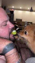Man shares green fruit with dog in Sirius, Russia