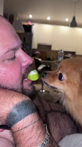 Man shares green fruit with dog in Sirius, Russia