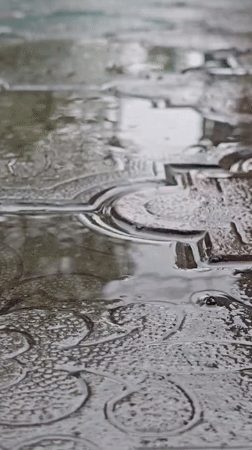 Rainy morning details from a Nova Kakhovka courtyard
