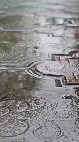 Rainy morning details from a Nova Kakhovka courtyard