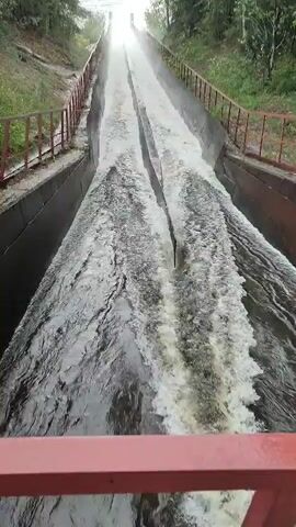 The video shows a spillway channel filled with rushing water, flowing downwards from a dam or reservoir. The channel is made of concrete, with metal railings on either side. Trees and vegetation are visible on the banks of the channel and in the background, where a body of water is visible. The water is turbulent and appears to be flowing at a high speed, with white foam and spray. The video is shot from a high angle, looking down the length of the spillway.