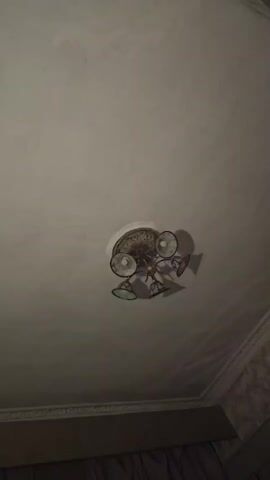 The video shows a ceiling with a chandelier. The chandelier has five arms, each with a light fixture. The ceiling is white and appears to be textured. There is a decorative border around the edge of the ceiling. The lighting is dim, casting shadows from the chandelier.