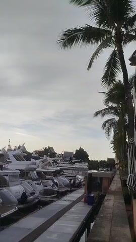 This is a vertical video of a marina with several yachts docked. The sky is overcast with some sunlight breaking through. Palm trees are visible on the right side of the frame. The water is calm and reflects the boats and the sky. The video pans slowly from right to left, showing more of the docked yachts and the marina infrastructure.