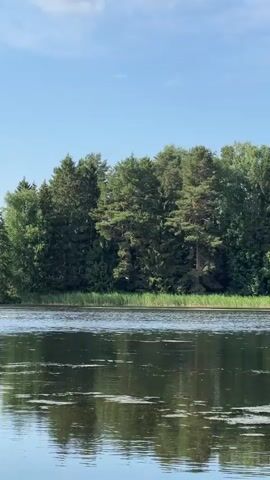 A calm lake reflects the sky and trees. The trees are lush green and form a dense forest. The sky is blue with scattered white clouds. The water has some vegetation floating on the surface. The overall scene depicts a serene natural landscape.