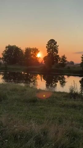 The video shows a body of water, likely a river or lake, with trees lining the bank. The sun is setting, casting a warm glow on the scene and reflecting on the water. A person is standing near the water's edge, silhouetted against the setting sun. The foreground is filled with grass and vegetation. The overall impression is one of a peaceful, natural landscape at dusk.