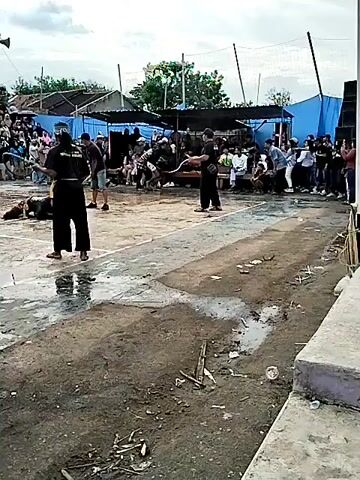 The video shows an outdoor event with a crowd gathered. In the foreground, a person in black attire is holding a hoop, and another person in black is on the ground, appearing to be part of a performance. A group of people in black clothing are actively performing, one holding a whip-like object. The background features a gathering of spectators, some seated and some standing, under temporary structures with blue tarpaulin roofs. The ground is uneven and appears to be a mix of dirt and some paved areas, with puddles of water visible. Trees and buildings can be seen in the distance, indicating a semi-urban or rural setting. The overall atmosphere suggests a cultural or traditional performance taking place in a community space.