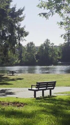 Lakeside park in Tacoma on a sunny afternoon