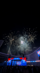 Olympic Day celebration fills Minsk stadium with fireworks and crowds