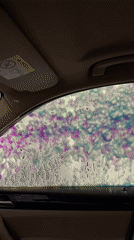 Car wash bubbles filmed from inside vehicle in Moscow