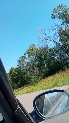 The video is taken from inside a car, looking out the passenger window and side mirror. The sky is clear and blue. Trees and foliage are visible along the side of a road, which appears to be paved. The car is moving, as indicated by the slight blur of the trees and the changing perspective. The side mirror reflects the sky and some of the surrounding trees. The interior of the car is partially visible, including a dark-colored door panel and the edge of a white object on the left side of the frame. The scene is illuminated by bright daylight, suggesting it is daytime.