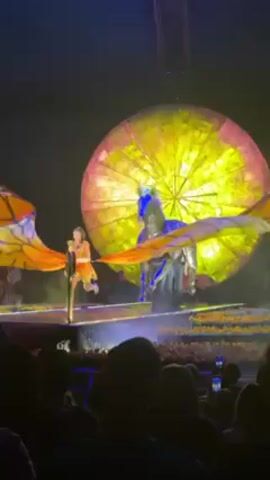 The video shows a stage performance taking place in front of a live audience. The stage is decorated with yellow flowers, and the background features a large, circular, illuminated prop resembling a sun. Two performers are on stage: a woman in an orange outfit who appears to be dancing, and a person riding a horse. Both performers have large, butterfly-wing-shaped props attached to them. The rider of the horse is adorned with a blue costume element. The audience is visible in the foreground, with some people holding up their phones, presumably to record the performance.