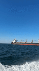 Bulk carrier ship observed in waters off Marina di Ravenna