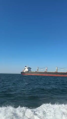 The video shows a large bulk carrier ship moving across a body of water under a clear blue sky. The ship is primarily black and red, with a white superstructure. It has several large cranes on its deck. The water is dark blue and choppy, with white foam visible near the camera, suggesting movement. The camera appears to be on a smaller boat or vessel, moving relative to the larger ship.