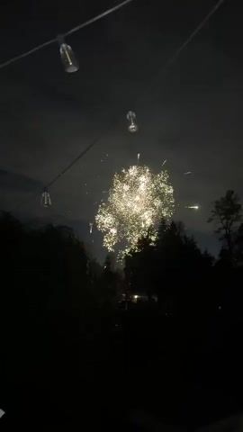 The video captures a nighttime scene with fireworks exploding in the sky. The camera is positioned outdoors, looking up at the dark sky. In the foreground, silhouettes of trees and foliage are visible, creating a frame around the fireworks display. String lights are also present, hanging above the scene, with some bulbs illuminated. The fireworks are colorful and varied, with some exploding in bursts of light and others leaving trails of sparks. The overall atmosphere is festive and celebratory.