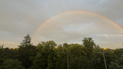 Double rainbow appears over urban treeline during afternoon storm