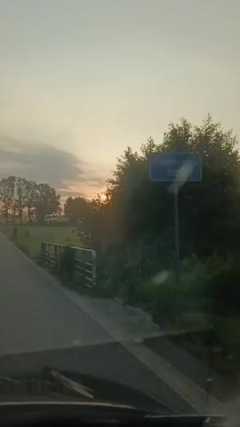 This video captures a sunrise over a rural landscape as viewed from a vehicle. The sun is partially obscured by trees and appears bright orange and yellow. The sky is a pale yellow and white, with some wispy clouds. There is a road in the foreground, and a grassy field with scattered trees to the right. A metal fence runs alongside the road. The video appears to be shot while the vehicle is in motion.