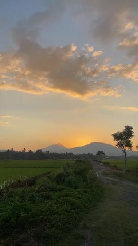 The video shows a scenic view of a rural landscape at sunset. In the foreground, there is lush green vegetation and a dirt path winding through it. The middle ground features a vibrant green rice paddy and scattered trees. In the background, two majestic mountains are silhouetted against the colorful sky, with the sun setting behind them, casting a warm orange glow. The sky is filled with scattered clouds tinged with yellow and orange hues, indicating the late hour of the day. The overall atmosphere is peaceful and serene, capturing the beauty of nature at dusk.