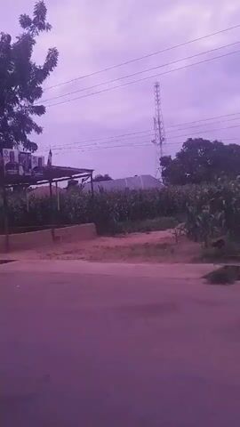 The video pans across a roadside scene under a hazy, overcast sky. The foreground is a pinkish-purple blur, suggesting movement or camera effects. To the left, a small, open-air structure with a corrugated metal roof is visible, featuring a blue and white sign with red and blue flags. A tall pole stands nearby. Further down the road, a thatched-roof structure is seen, with a tall communication tower in the background. The camera continues to pan, revealing trees, a concrete wall, and what appears to be a person sitting under a tree, possibly near a motorcycle. Another simple, open-sided shelter constructed from natural materials is visible, with a motorcycle parked inside. The environment appears to be rural or semi-urban, with a mix of structures and vegetation.