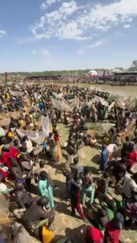 The video depicts a large gathering of people along a riverbank. Numerous individuals, many holding fishing nets, are wading into the water. The river appears muddy and wide.  On the opposite bank, a crowd of spectators can be seen behind a barrier.  The environment is sunny with a blue sky and scattered clouds. The overall scene suggests a communal fishing event or festival.