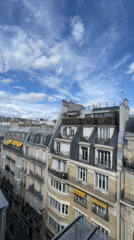 Rooftop views across Haussmann-era Paris on a sunny afternoon