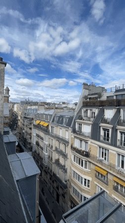 Rooftop views across Haussmann-era Paris on a sunny afternoon