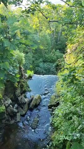 The video shows a waterfall flowing over rocks in a lush, green forest. The camera is positioned above the waterfall, looking down. Sunlight filters through the trees, illuminating the water and surrounding foliage. The water is clear and appears to be flowing rapidly. Rocks and vegetation are visible along the banks of the waterfall. The overall impression is one of natural beauty and tranquility.