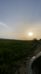 Rural field landscape documented in Goritsa, Bulgaria